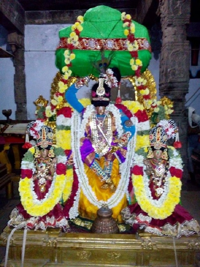 Sri Jayanthi Utsavam At Puduvayal Sri Vijayaraghava Perumal Temple 1