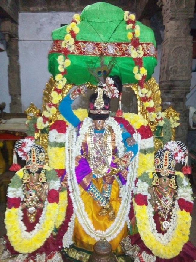 Sri Jayanthi Utsavam At Puduvayal Sri Vijayaraghava Perumal Temple 3