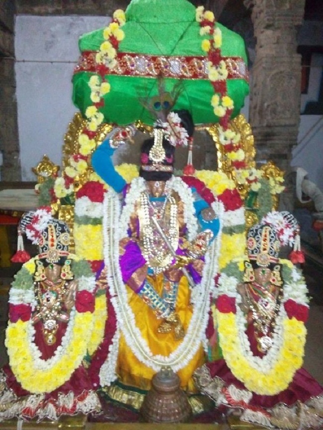 Sri Jayanthi Utsavam At Puduvayal Sri Vijayaraghava Perumal Temple 4
