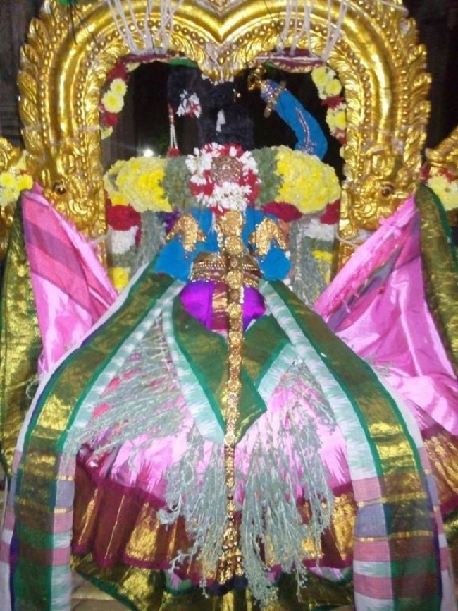 Sri Jayanthi Utsavam At Puduvayal Sri Vijayaraghava Perumal Temple 6