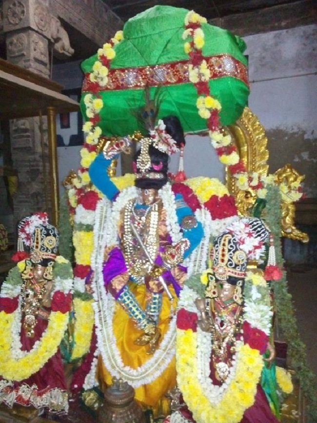 Sri Jayanthi Utsavam At Puduvayal Sri Vijayaraghava Perumal Temple 7