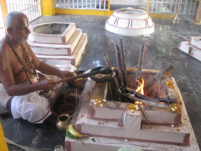 Sri Kannan Utsavar Prathistai Utsavam At Arumbakkam Sri Satyavaradaraja Perumal Temple4