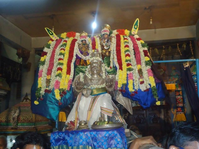 Srimad Srimushnam Andavan Mangalasasanam at Kalyanapuram 2014 05