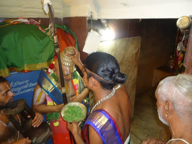 Srimad Srimushnam Andavan Mangalasasanam at Kalyanapuram 2014 12