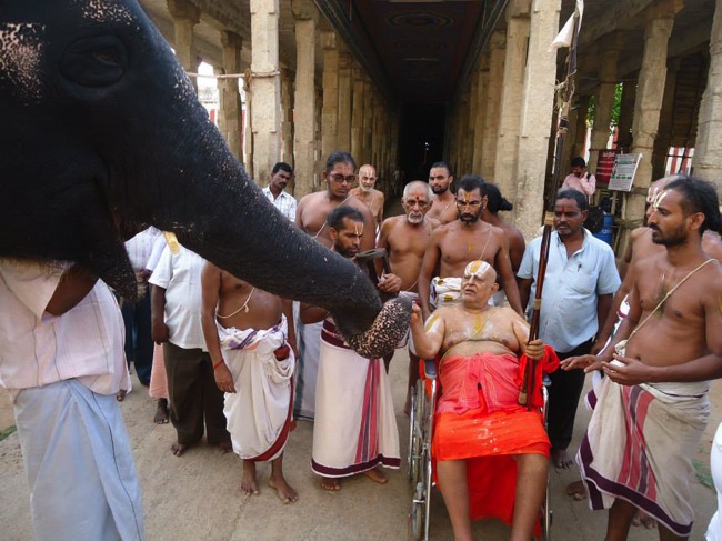 Srimushnam Andavan Mangalasasanam at Mannargudi Sri Rajagopalan Sannadhi  2014--03