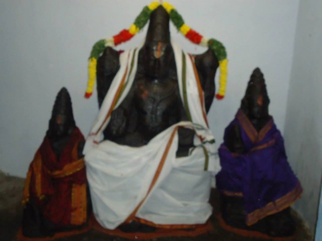 Srimushnam Andavan Mangalasasanam at Perumpuliyur Sri Sundararaja Perumal Temple  2014 02