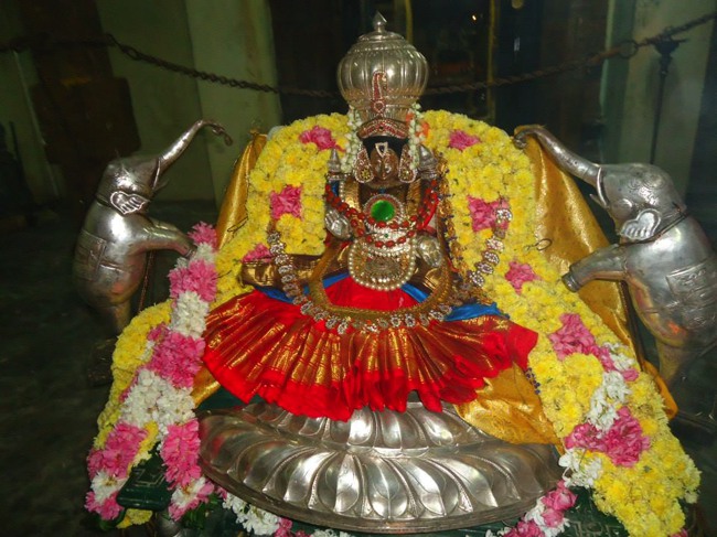 Srimushnam Andavan Mangalasasanam at Sirupuliyur 2014--03
