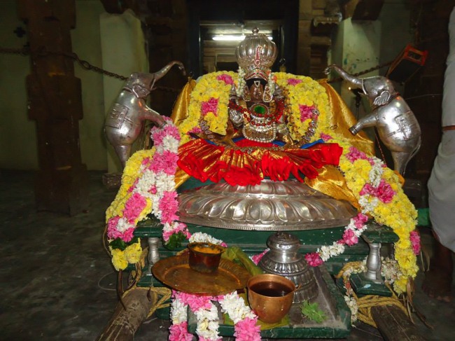 Srimushnam Andavan Mangalasasanam at Sirupuliyur 2014--07