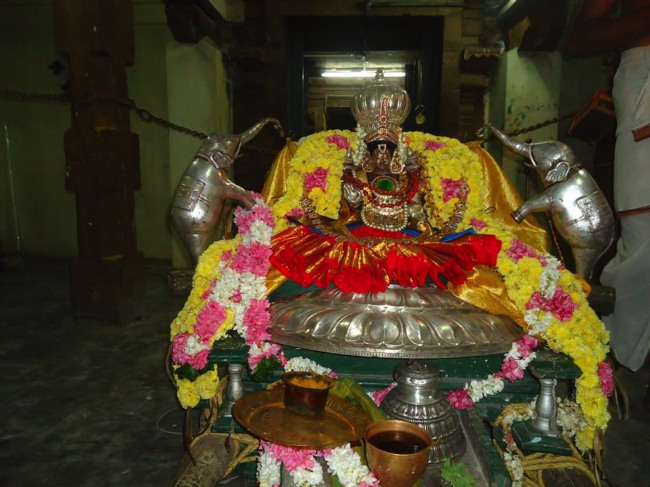 Srimushnam Andavan Mangalasasanam at Sirupuliyur 2014--08
