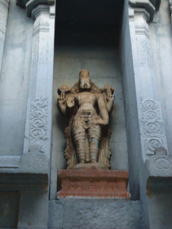 Srimushnam Andavan Mangalasasnam at Thirukkannapuram 2014--00
