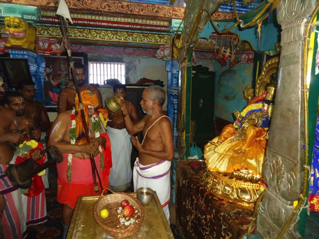 Srimushnam Andavan Mangalasasnam at Thirukkannapuram 2014--02