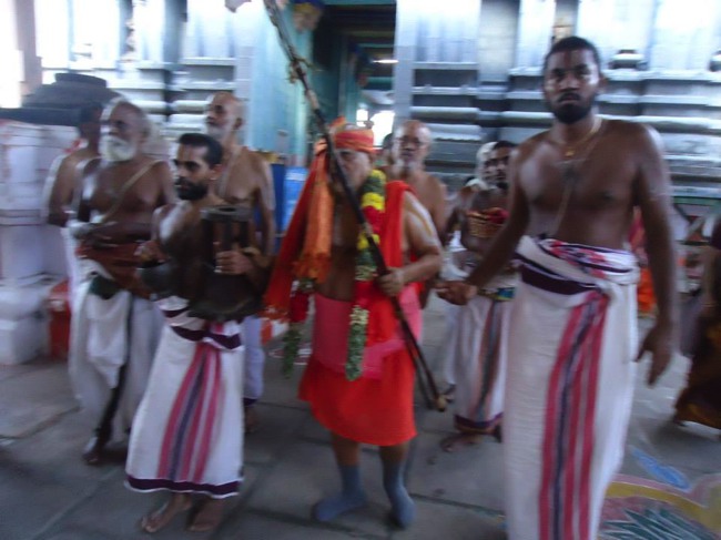 Srimushnam Andavan Mangalasasnam at Thirukkannapuram 2014--05