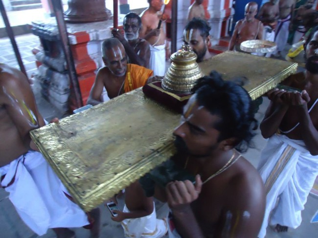 Srimushnam Andavan Mangalasasnam at Thirukkannapuram 2014--06