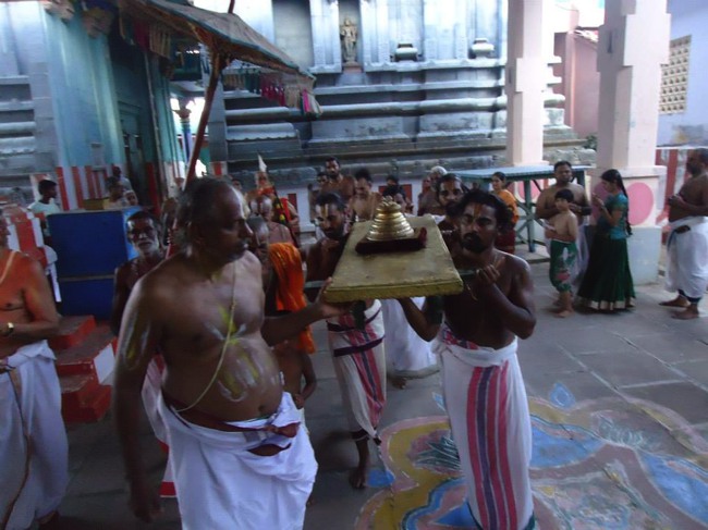 Srimushnam Andavan Mangalasasnam at Thirukkannapuram 2014--07