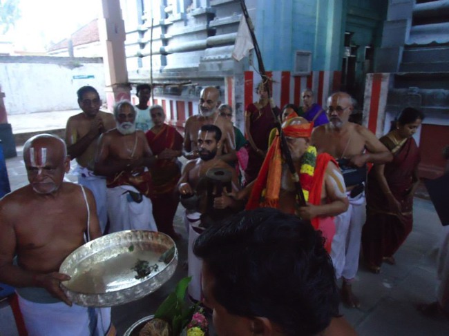 Srimushnam Andavan Mangalasasnam at Thirukkannapuram 2014--08
