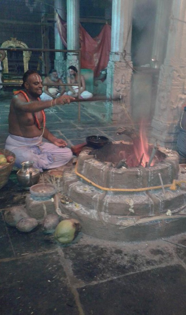 Sriperumpudur Sri Adhikesava Perumal Temple Pavithrotsavam Concludes 2014  4