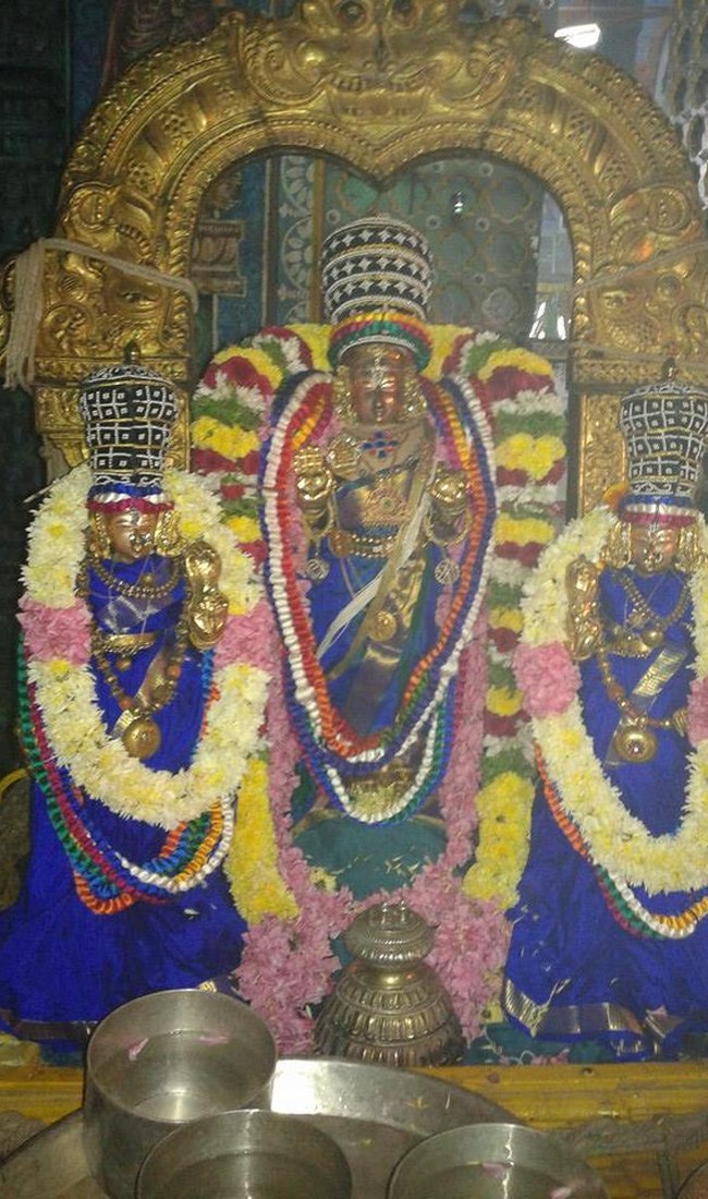 Sriperumpudur Sri Adhikesava Perumal Temple Pavithrotsavam Concludes 2014  5