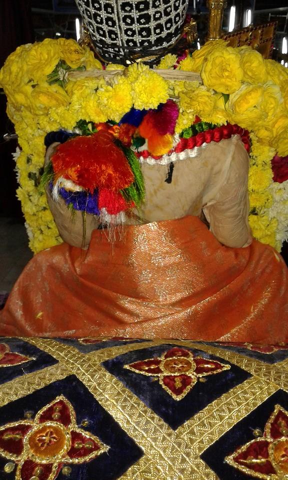 Sriperumpudur Sri Adhikesava Perumal Temple Thirupavithrotsavam 2014  05