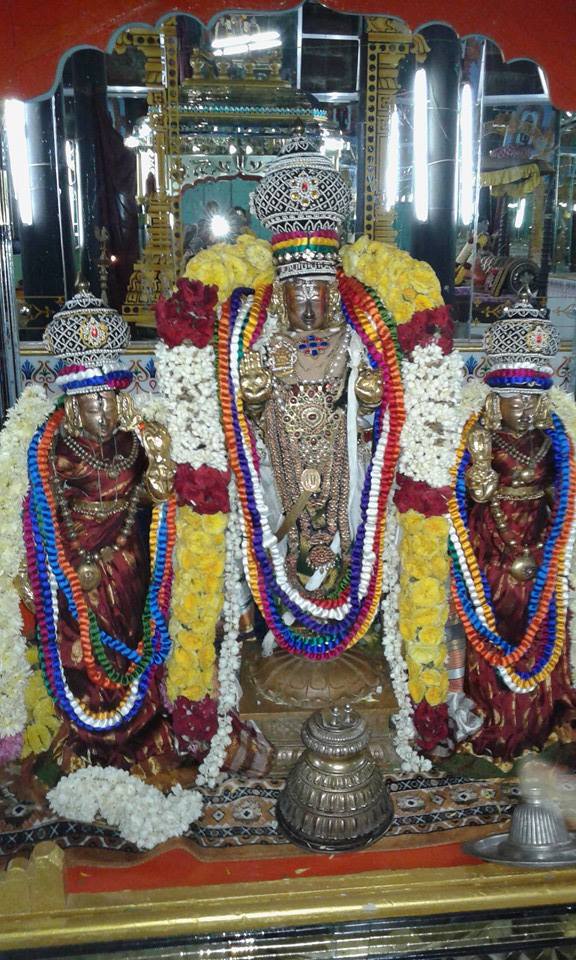 Sriperumpudur Sri Adhikesava Perumal Temple Thirupavithrotsavam 2014  06
