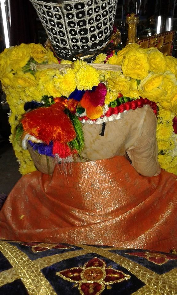 Sriperumpudur Sri Adhikesava Perumal Temple Thirupavithrotsavam 2014  11