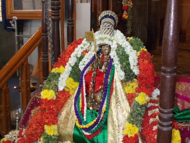 Srirangam Ahobila Mutt Adhivan Satakopan Thirunakshatra utsavam day 6 2014 3