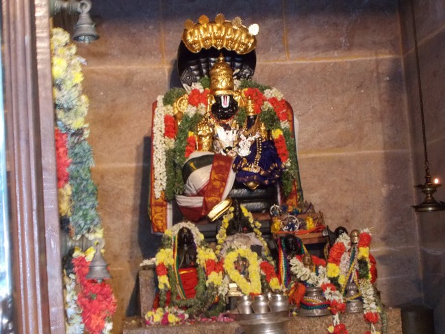 Srirangam Ahobila Mutt Adhivan Satakopan Thirunakshatra utsavam day 6 2014 4