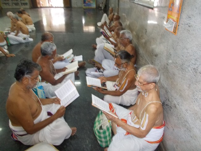 Srirangam Ahobila Mutt Adhivan Satakopan Thirunakshatra utsavam day 6 2014 7