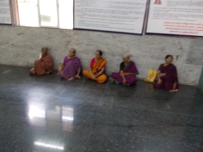 Srirangam Ahobila Mutt Adhivan Satakopan Thirunakshatra utsavam day 6 2014 8