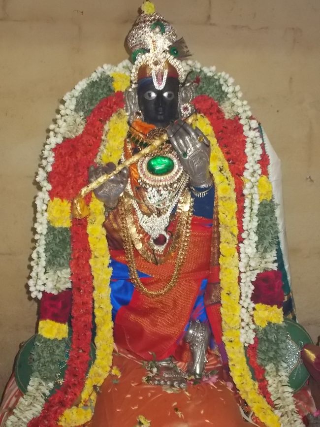Srirangam Thirukurallappan Sannadhi Vamana Jayanthi day 3 2014  14