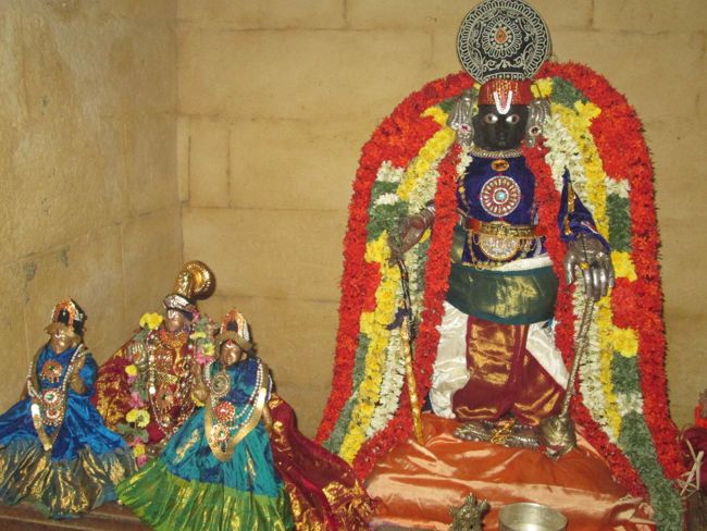 Srirangam Thirukurallappan Sannadhi Vamana Jayanthi day 4 2014  15