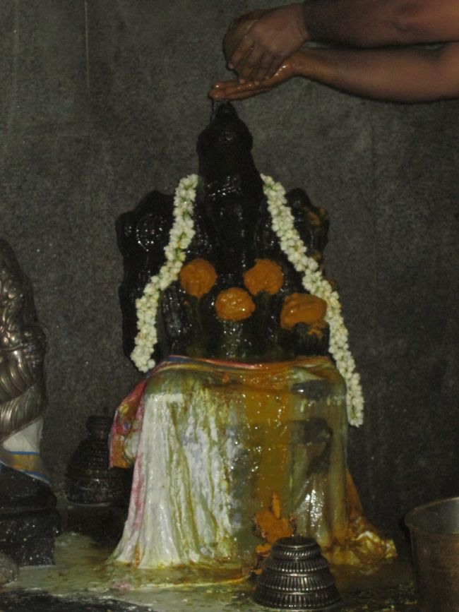 Srirangam Ul Desikan Sannadhi Hayagreeva Jayanthi Utsavam  2014--20