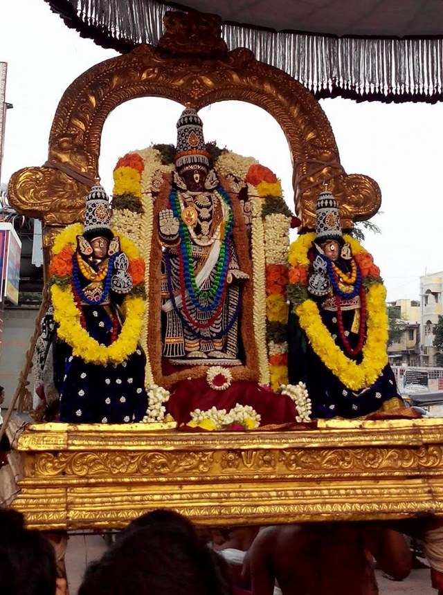 THiruvallikeni Parthasarathy Temple Pavithrotsavam day 5 2014  1