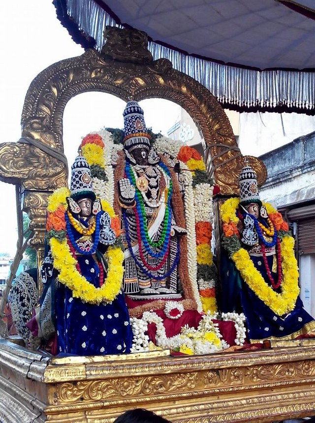 THiruvallikeni Parthasarathy Temple Pavithrotsavam day 5 2014  2