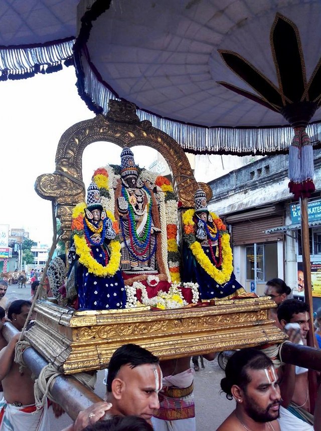 THiruvallikeni Parthasarathy Temple Pavithrotsavam day 5 2014  3