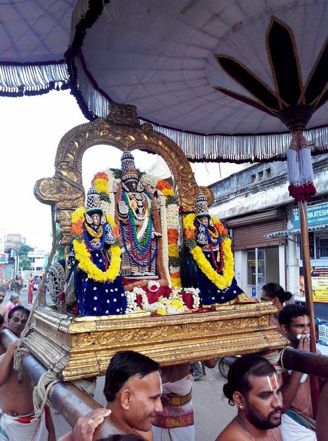 THiruvallikeni Parthasarathy Temple Pavithrotsavam day 5 2014  4