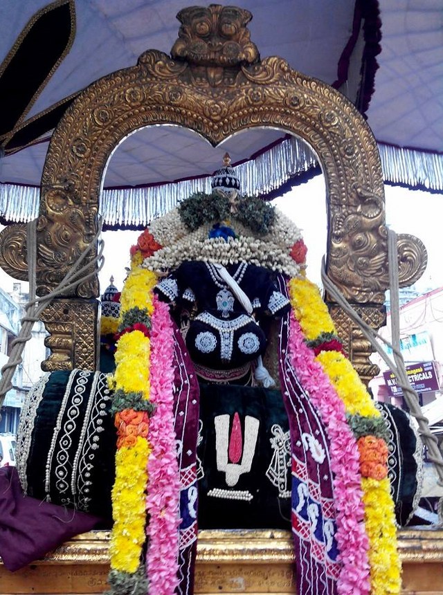 THiruvallikeni Parthasarathy Temple Pavithrotsavam day 5 2014  5
