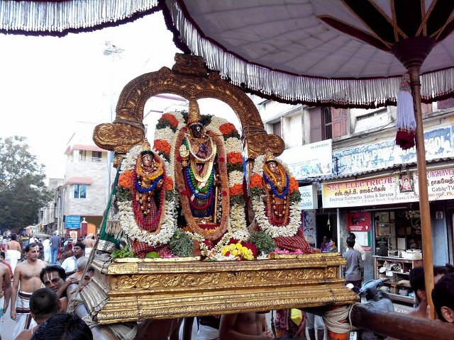 THiruvallikeni Parthasarathy Temple Pavithrotsavam day 6 2014  1