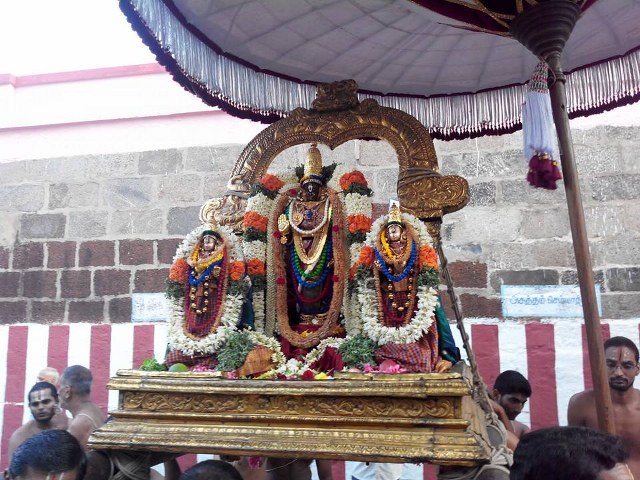 THiruvallikeni Parthasarathy Temple Pavithrotsavam day 6 2014  2