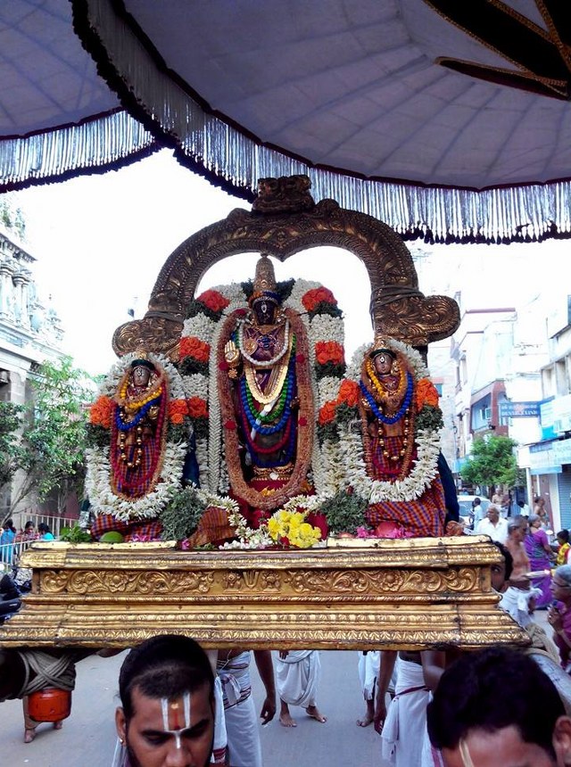 THiruvallikeni Parthasarathy Temple Pavithrotsavam day 6 2014  5