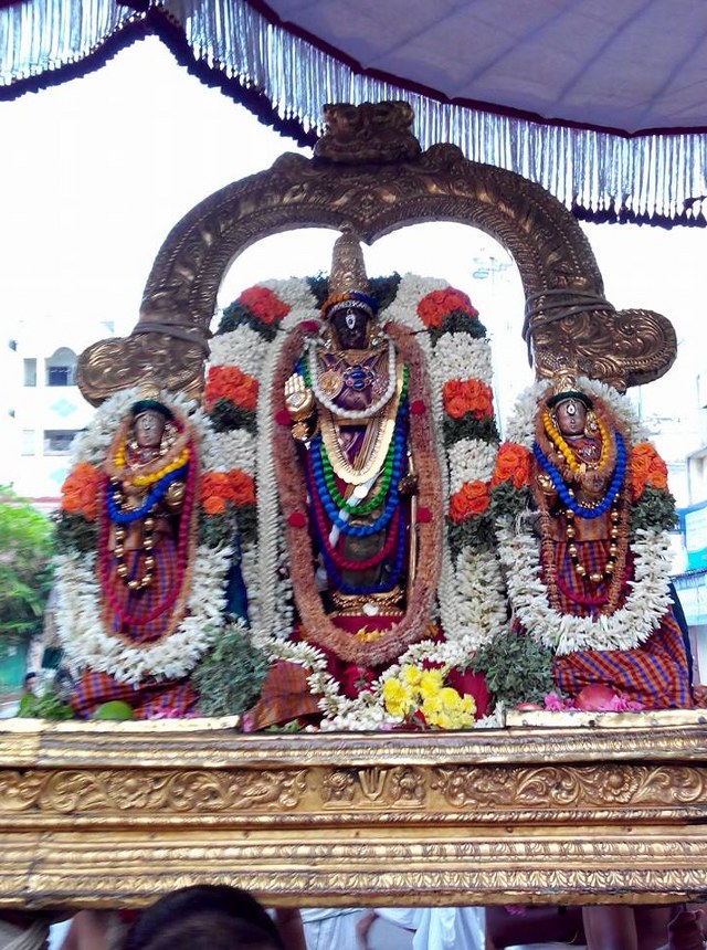 THiruvallikeni Parthasarathy Temple Pavithrotsavam day 6 2014  6