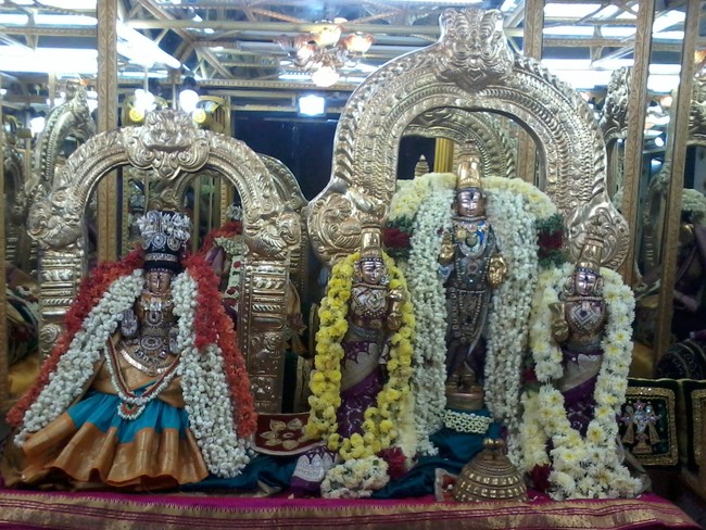 THiruvelukkai Sri Azhagiyasingaperumal temple Purattasi Ammavasai Sevai  2014 6