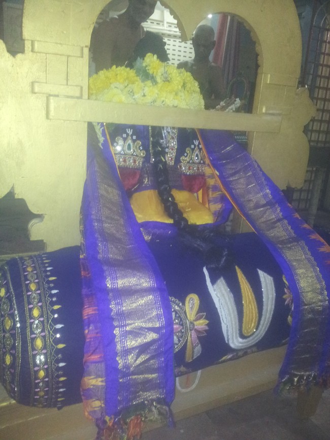 Taramani Swami Desikan Sannadhi Avani Sravana Purappadu  2014  8