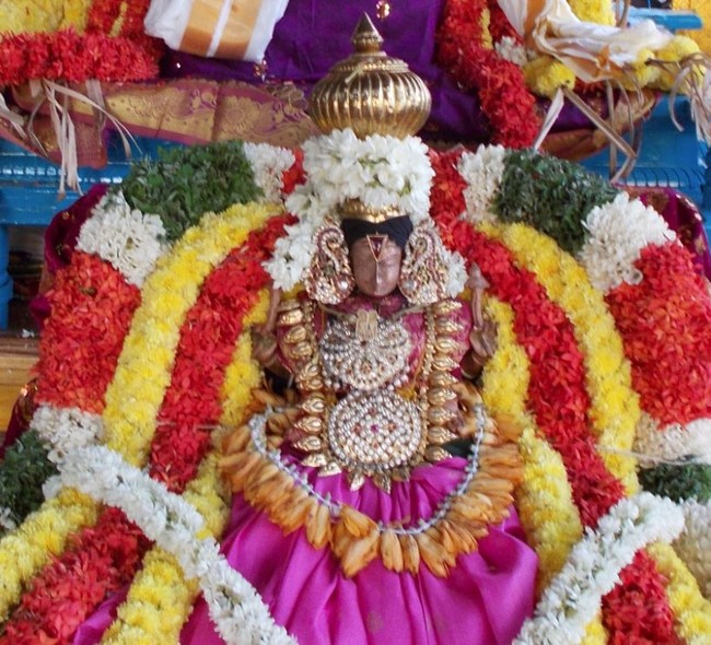 Thalaichangadu Nanmadhiyam Perumal Temple Samprokshanam  2014 26