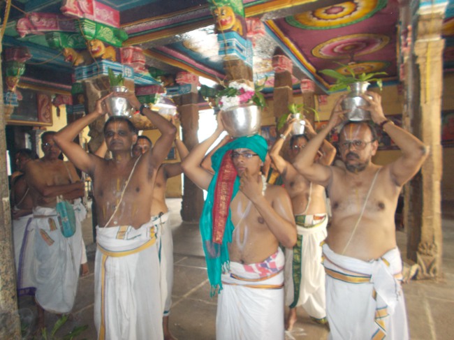 Therazhundur Andavan Thirunakshataram Thirumanjanam at Amaruviappan Temple 2014--12