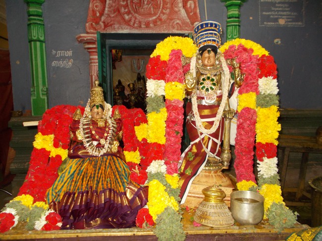 Therazhundur Andavan Thirunakshataram Thirumanjanam at Amaruviappan Temple 2014--18