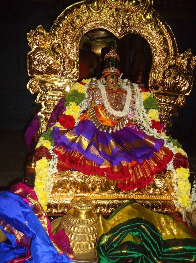 Therazhundur Sri Amaruviyappan Temple Srimushnam ANdavan Mangalasasanam 2014 32