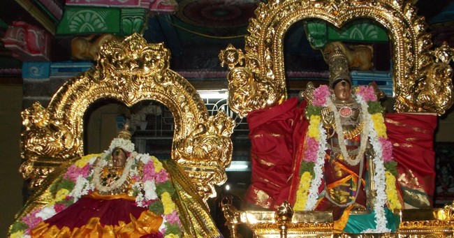 Therazhundur Sri amaruviyappan Jaya Avani Ekadasi Purappadu  2014  03