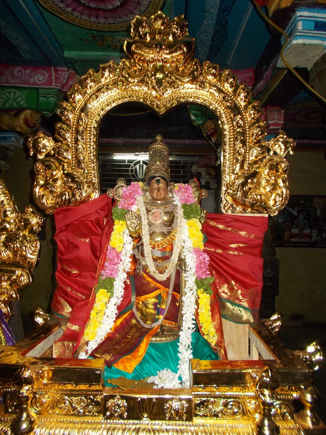 Therazhundur Sri amaruviyappan Jaya Avani Ekadasi Purappadu  2014  09