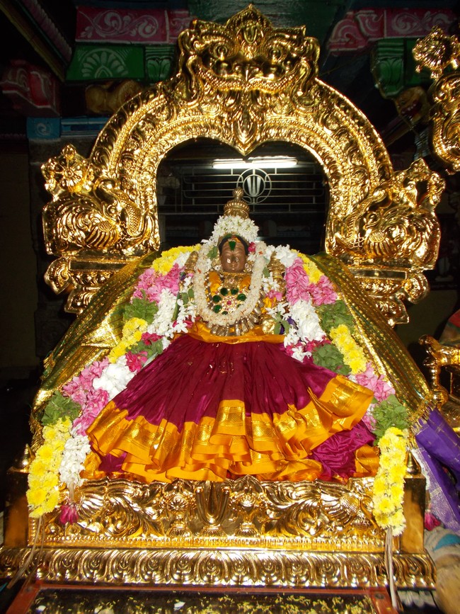 Therazhundur Sri amaruviyappan Jaya Avani Ekadasi Purappadu  2014  10