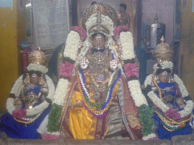 Thiru Chitrakoodam Sri Govindaraja Swamy Temple ThiruPavitrothsava Satrumurai2